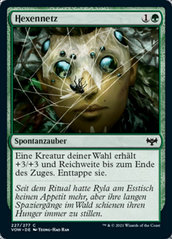Hexennetz