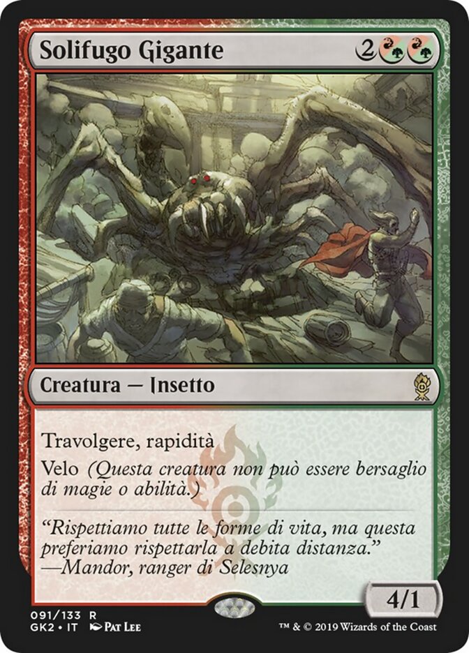 Solifugo Gigante