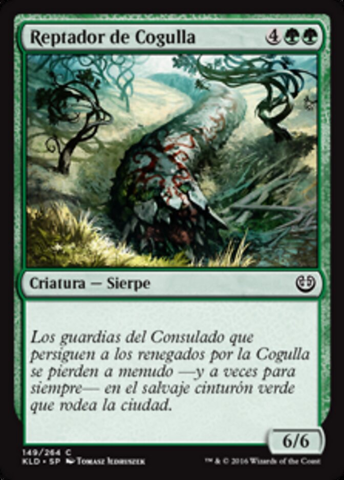 Reptador de Cogulla