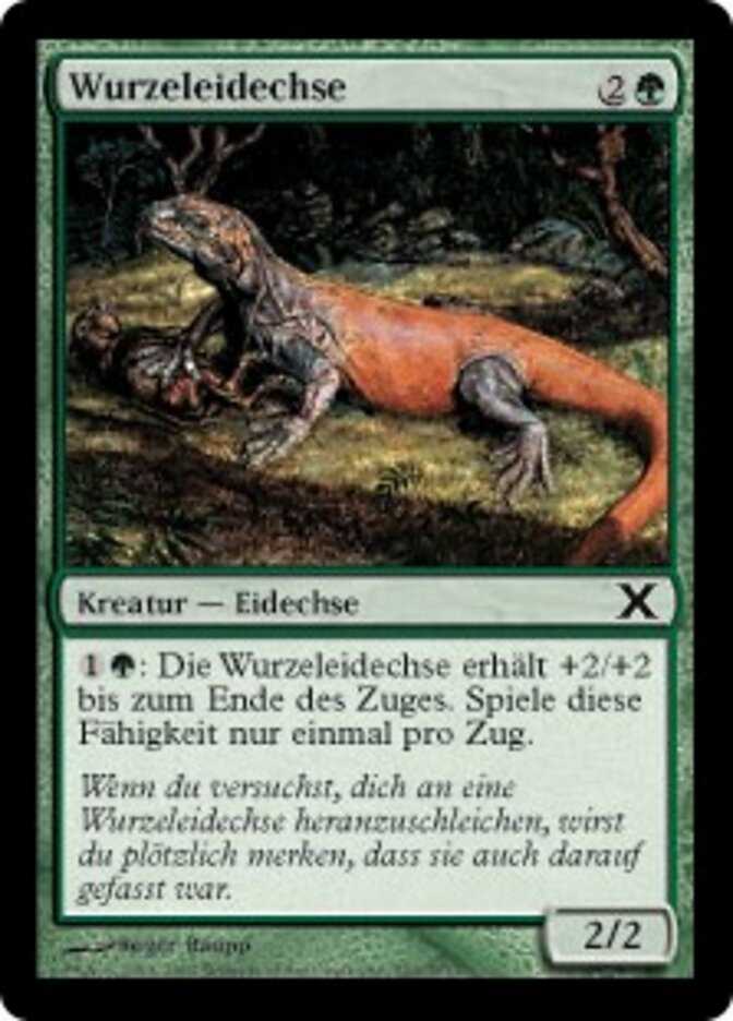 Wurzeleidechse
