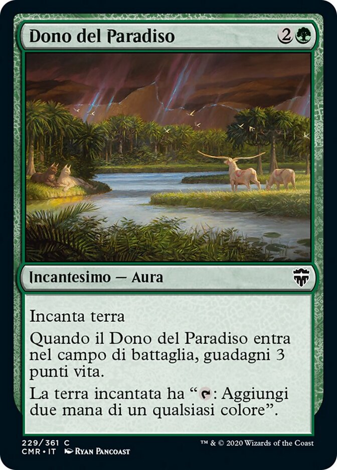 Dono del Paradiso