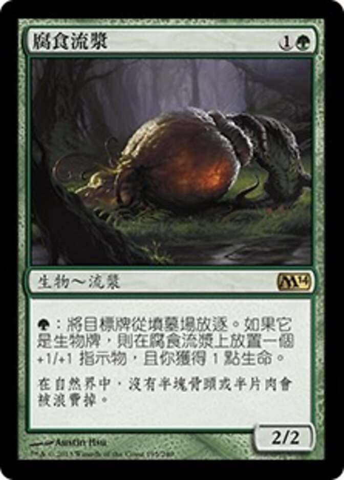 腐食流漿