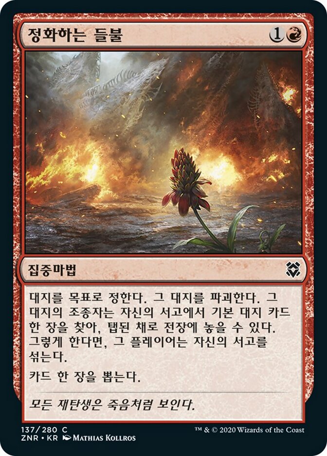 정화하는 들불