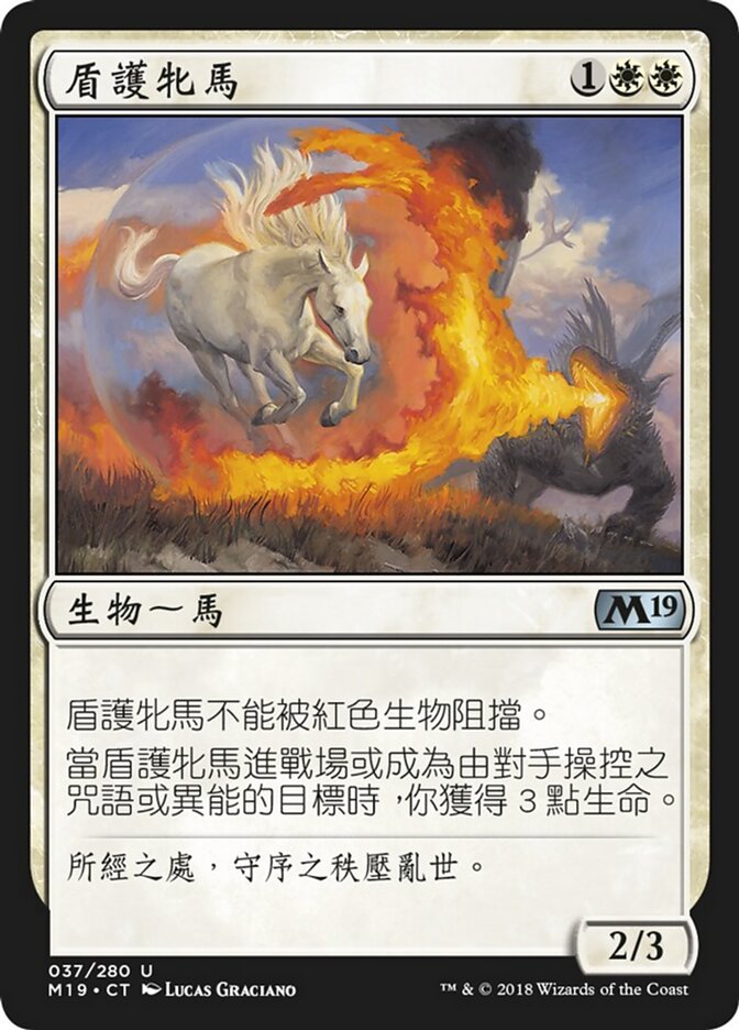 盾護牝馬