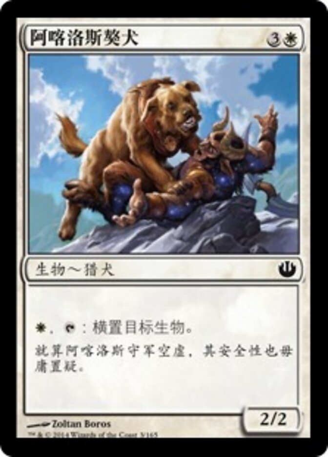 阿喀洛斯獒犬