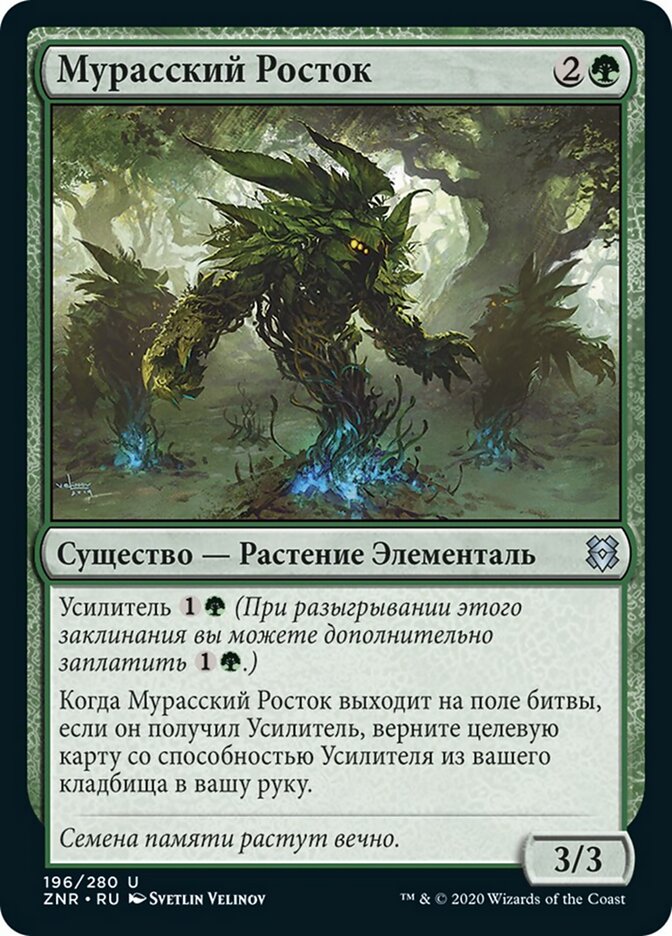 Мурасский Росток