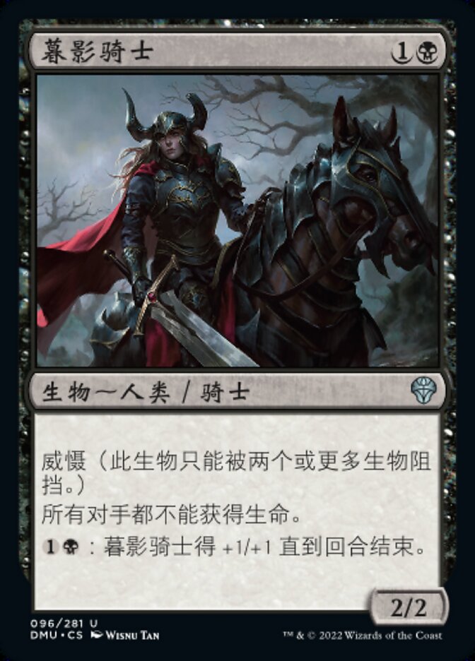 暮影骑士