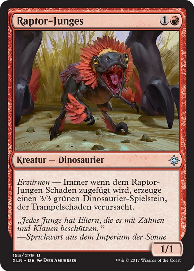 Raptor-Junges