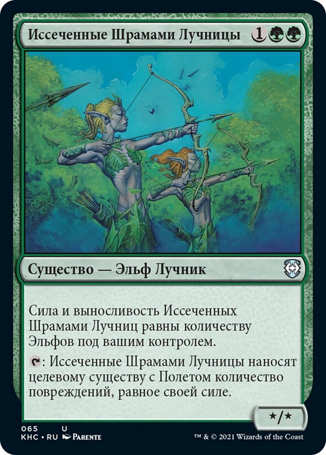 Иссеченные Шрамами Лучницы