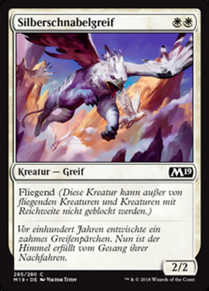 Silberschnabelgreif