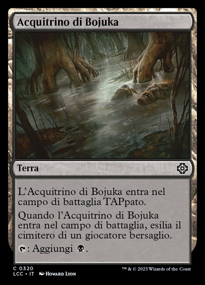 Acquitrino di Bojuka