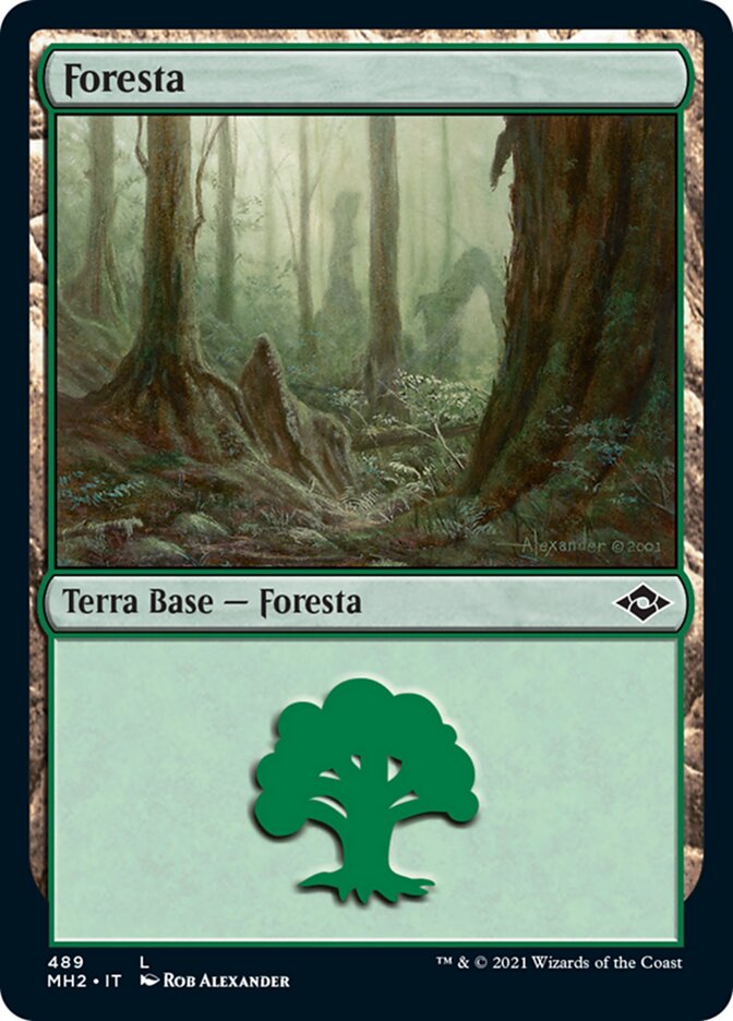 Foresta