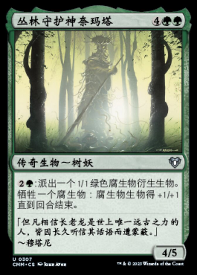 丛林守护神奈玛塔