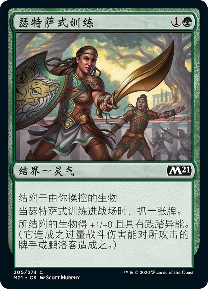 瑟特萨式训练