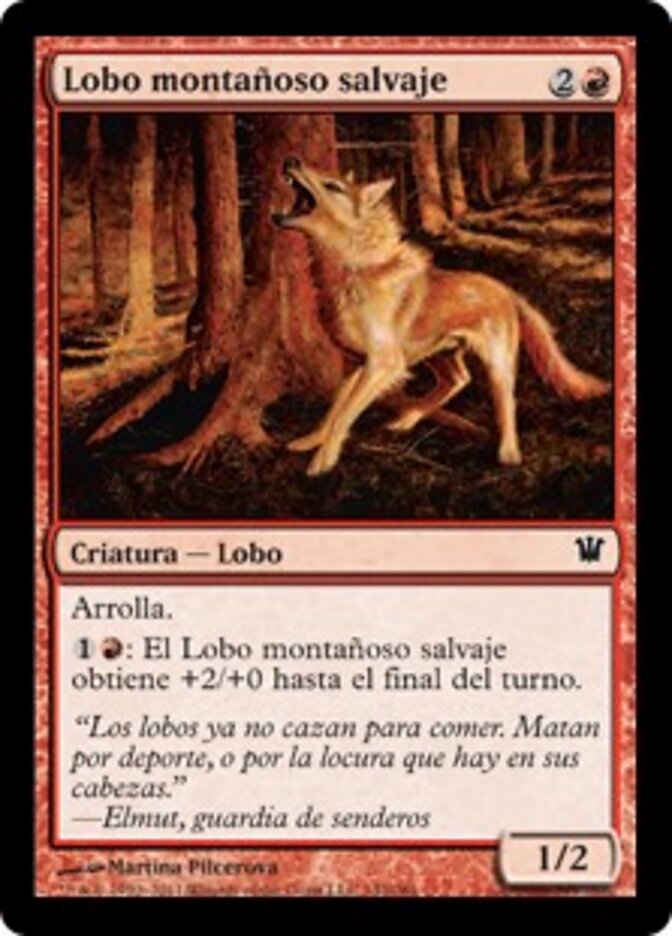 Lobo montañoso salvaje