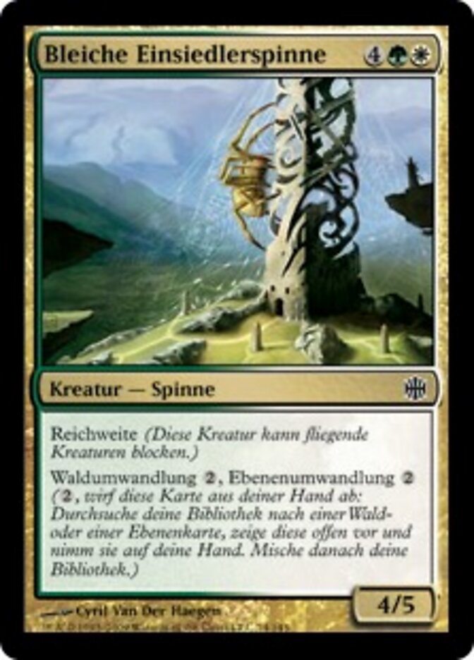 Bleiche Einsiedlerspinne