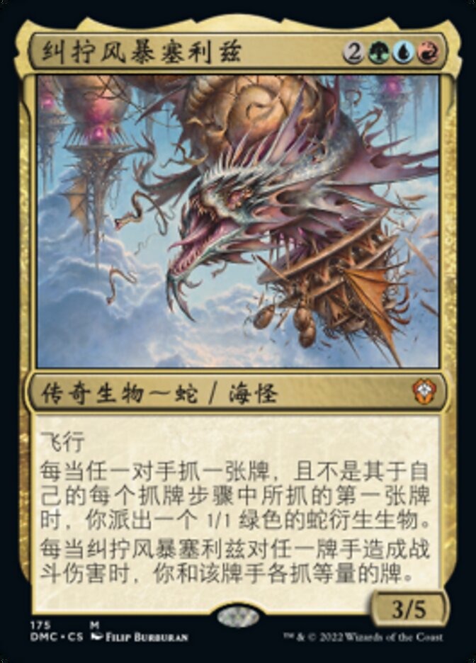 纠拧风暴塞利兹