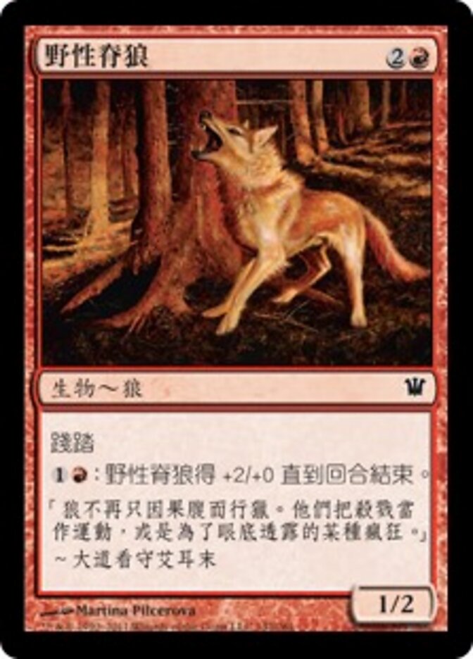 野性脊狼