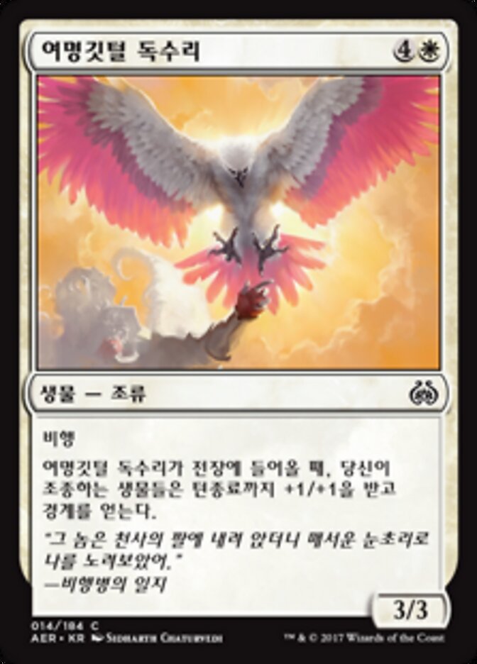 여명깃털 독수리