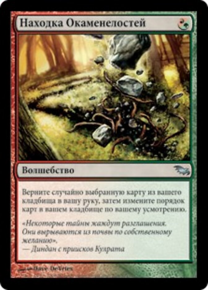 Находка Окаменелостей
