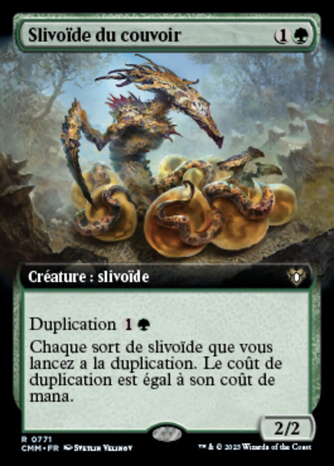 Slivoïde du couvoir