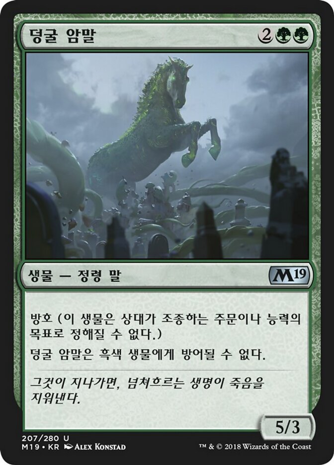 덩굴 암말