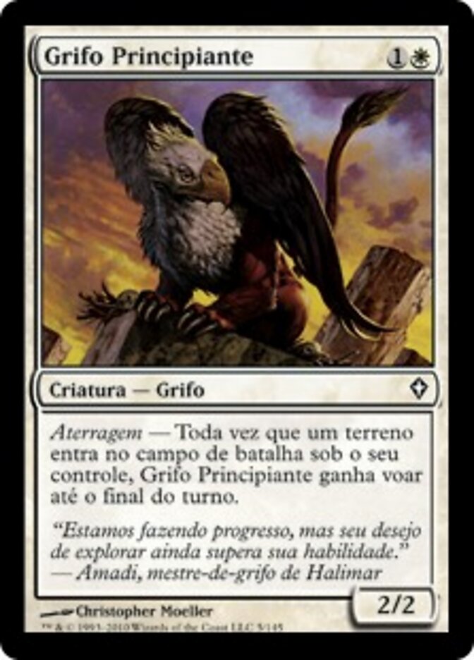 Grifo Principiante