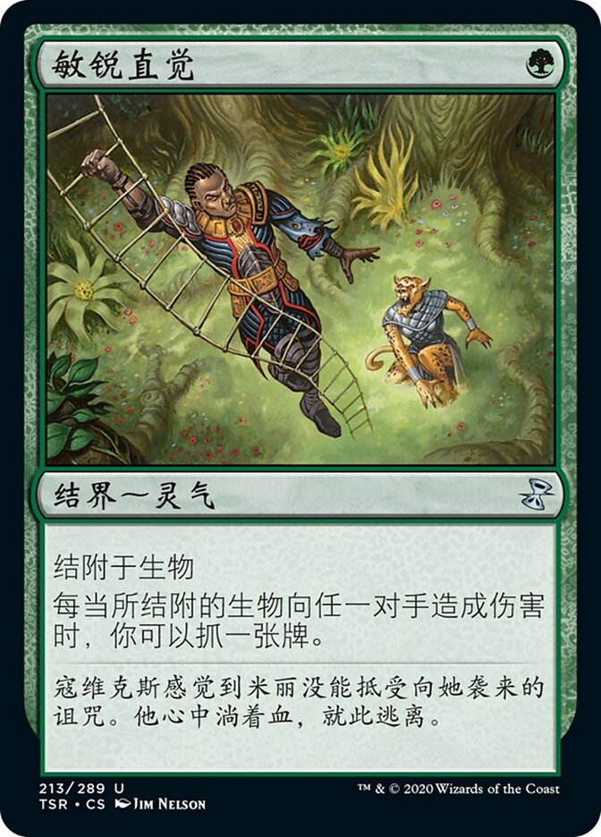 敏锐直觉