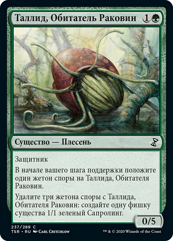 Таллид, Обитатель Раковин