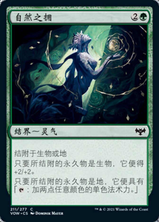 自然之拥