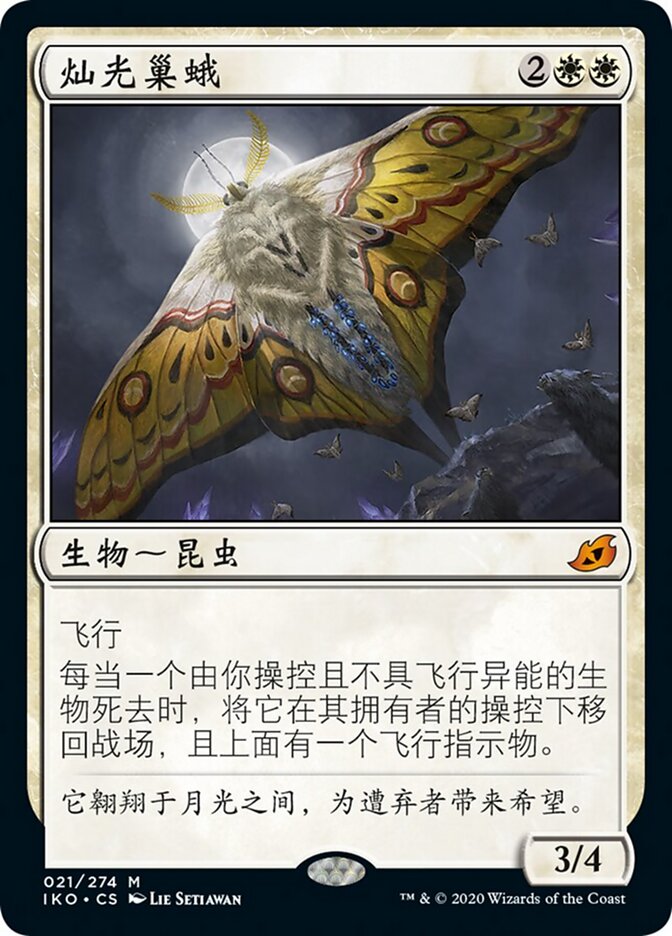 灿光巢蛾