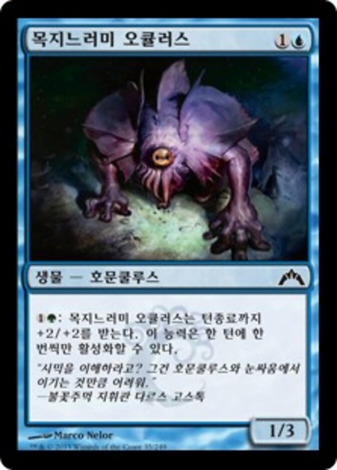 목지느러미 오큘러스