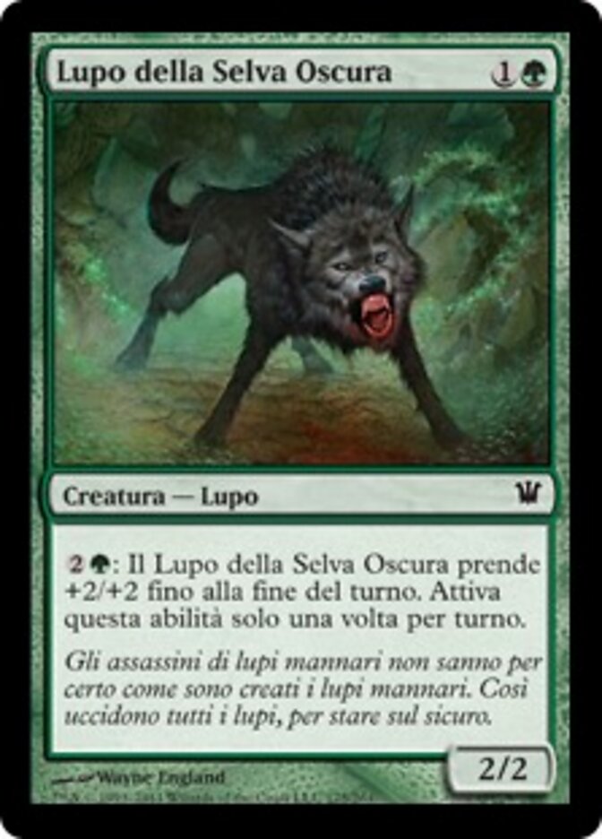 Lupo della Selva Oscura