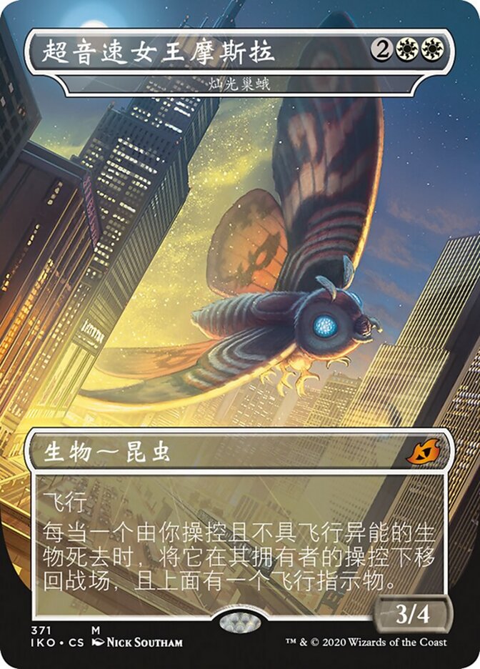 灿光巢蛾