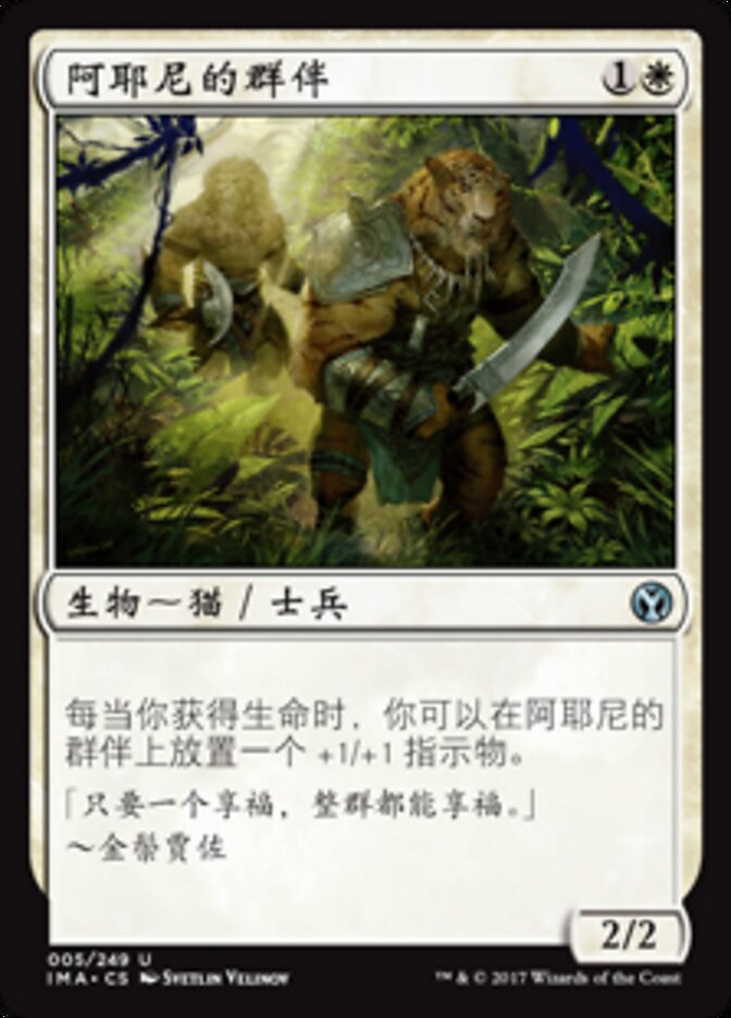 阿耶尼的群伴