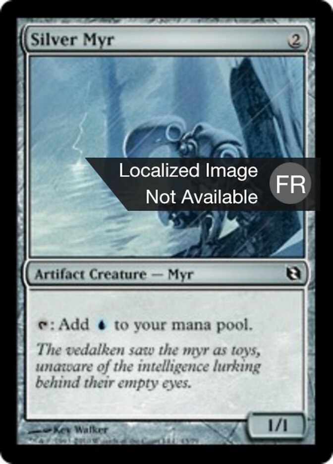Myr argenté