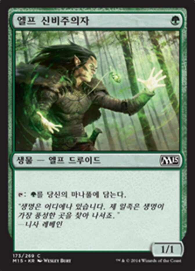 엘프 신비주의자