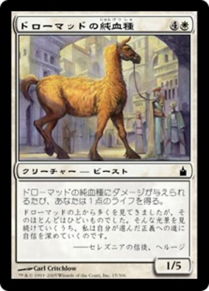 ドローマッドの純血種