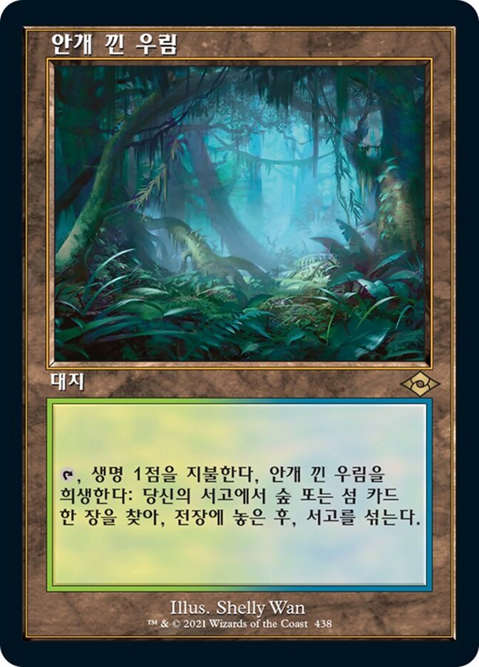 안개 낀 우림