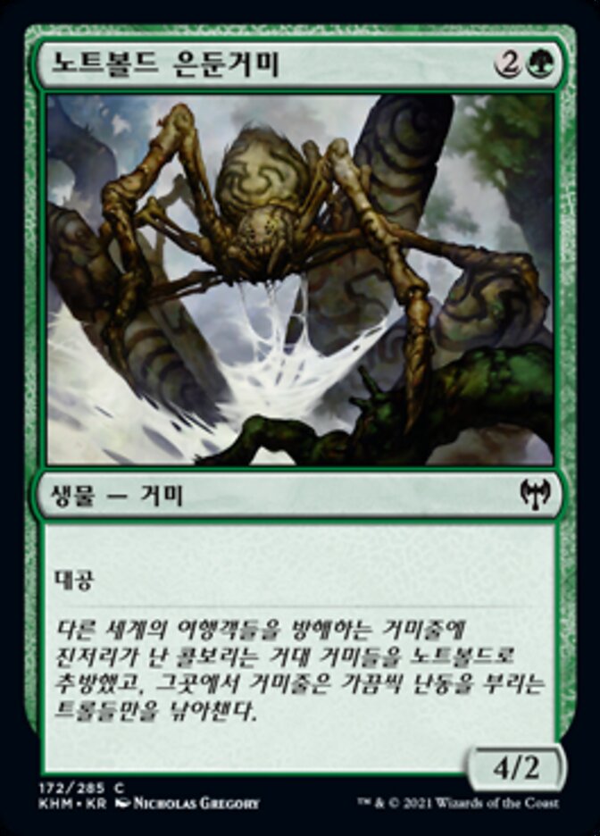 노트볼드 은둔거미