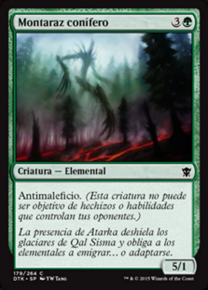 Montaraz conífero