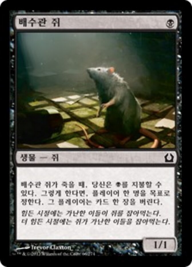 배수관 쥐