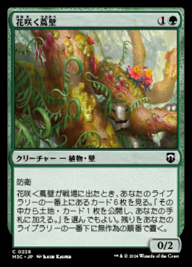 花咲く蔦壁
