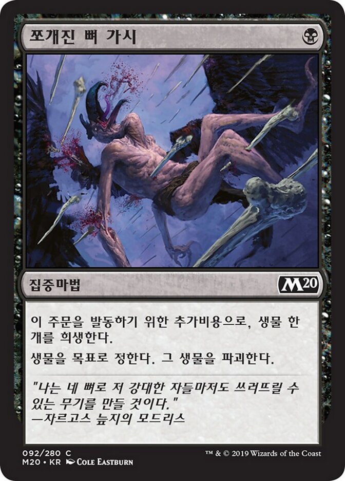 쪼개진 뼈 가시