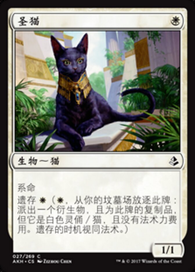 圣猫