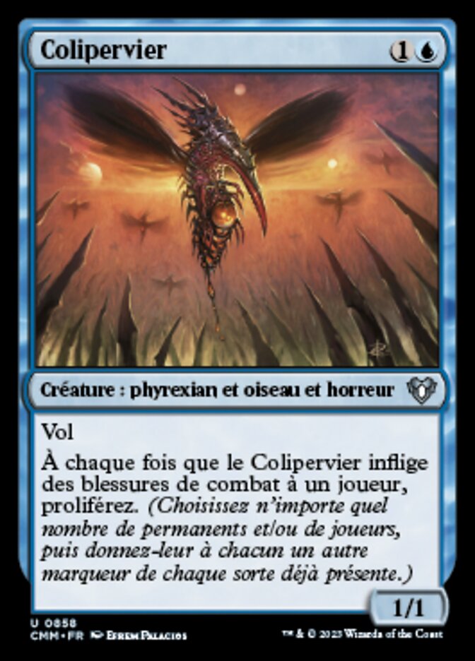Colipervier