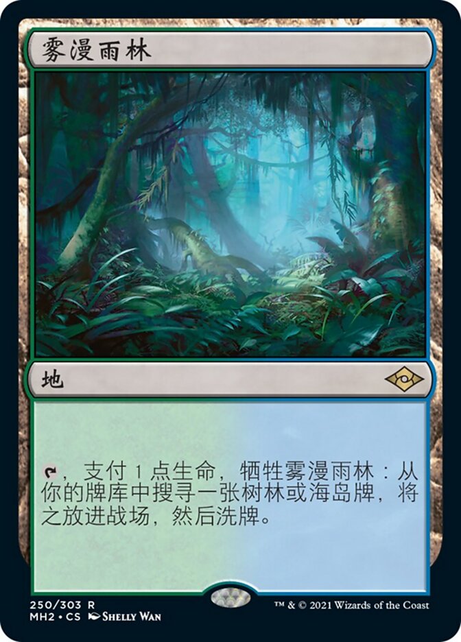 雾漫雨林