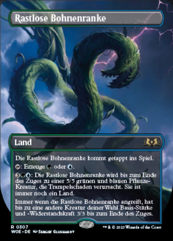 Rastlose Bohnenranke