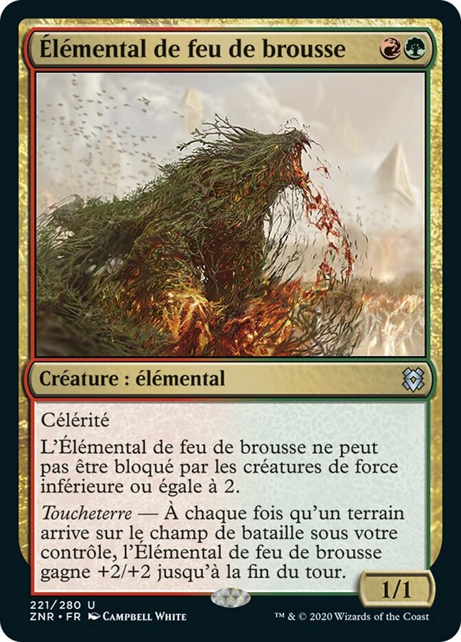 Élémental de feu de brousse