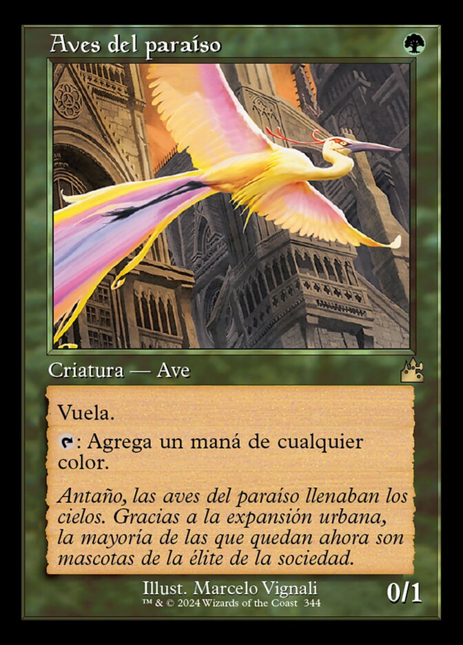 Aves del paraíso